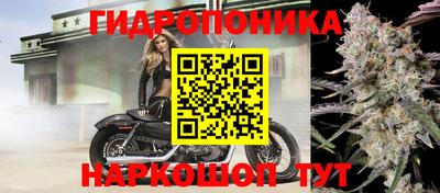 прущие крисы Дубна